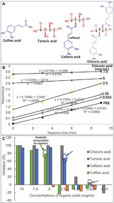 Both Acidic pH Value and Binding Interactions of Tartaric Acid With α-Glucosidase Cause the Enzyme Inhibition: The Mechanism in α-Glucosidase Inhibition of Four Caffeic and Tartaric Acid Derivates